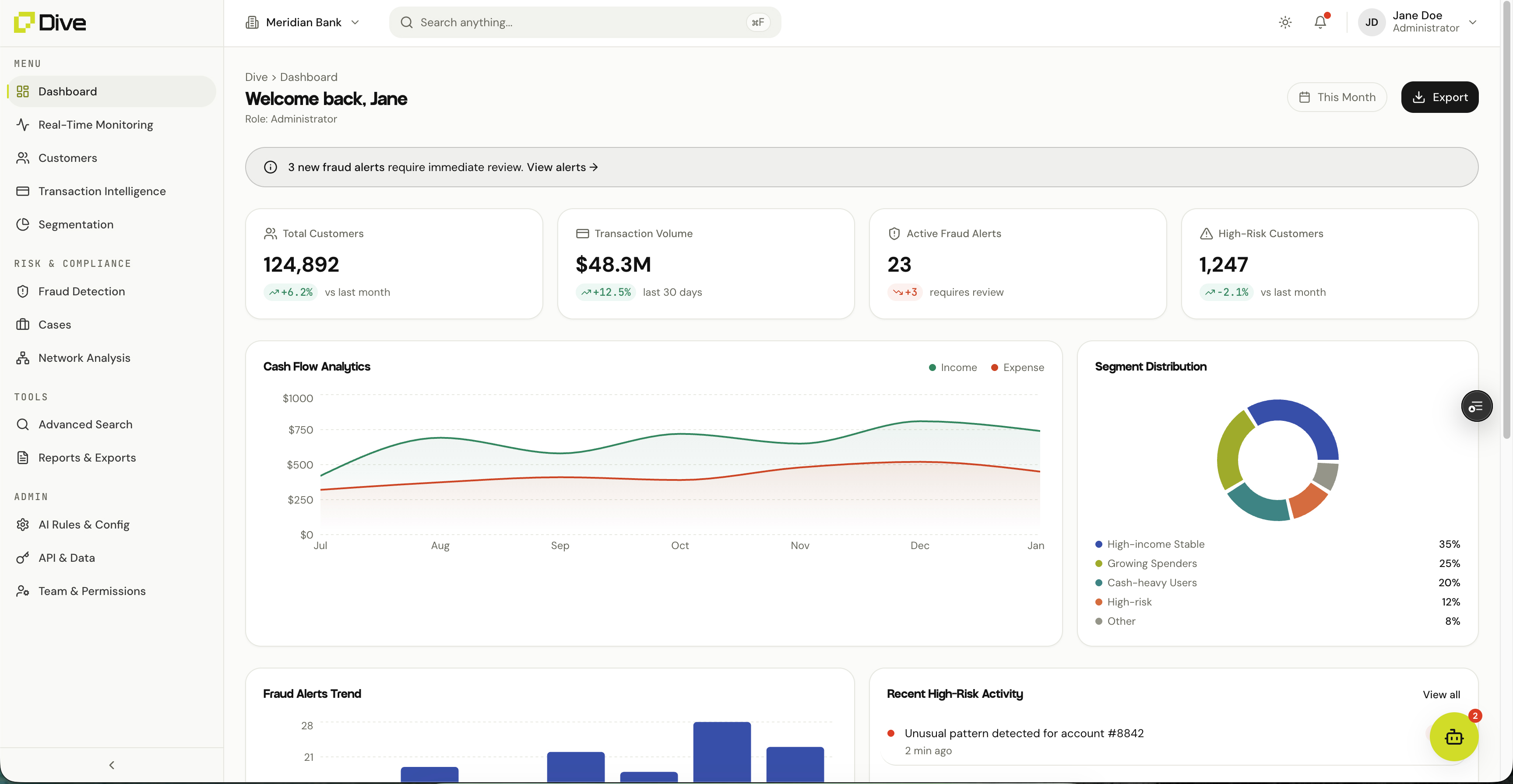 The Dive for Institutions dashboard showing total customers, transaction volume, fraud alerts, cash flow analytics, and segment distribution